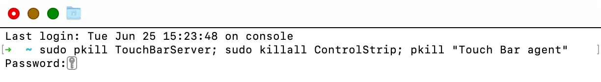Excecution of the command in terminal